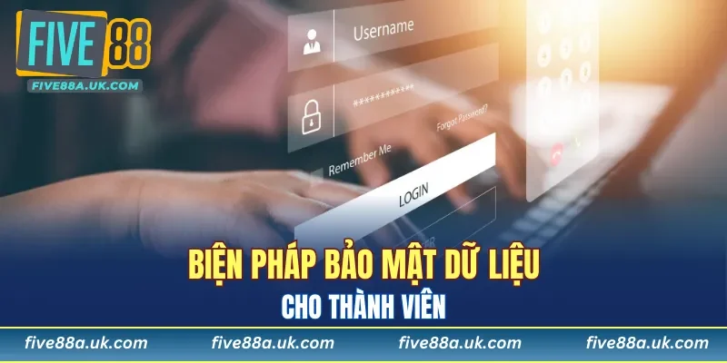 Biện pháp bảo mật dữ liệu cho thành viên 