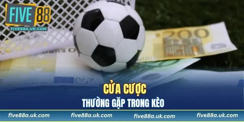 Các cửa cược hay gặp trong kèo chẵn lẻ