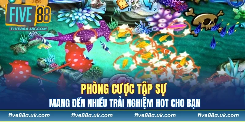Phòng cược tập sự mang đến nhiều trải nghiệm hot cho bạn