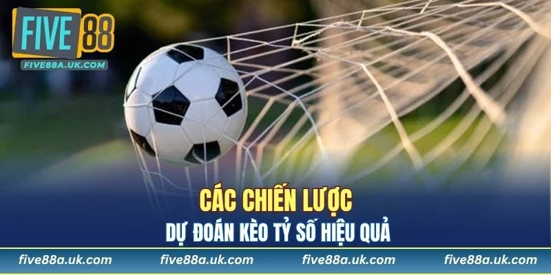 Thành viên cần xây dựng chiến lược hợp lý 