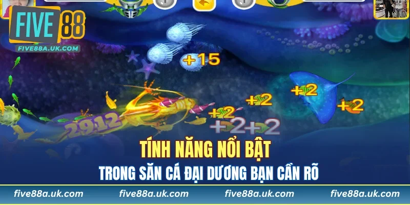 Tính năng nổi bật trong săn cá đại dương bạn cần rõ